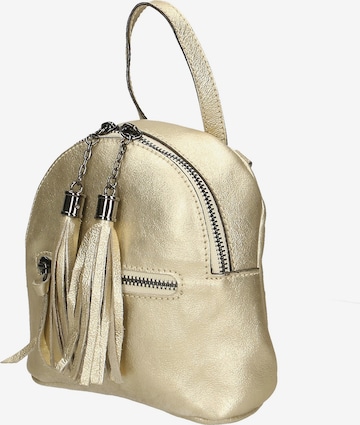 Gave Lux Rugzak in Goud: voorkant