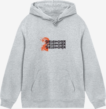 Pull-over F4NT4STIC en gris : devant