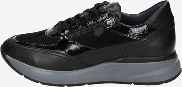 SIOUX Sneakers 'Segolia' in Black