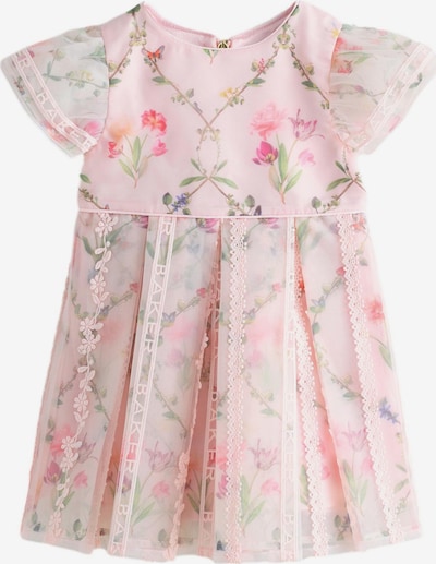 Suknelė iš Baker by Ted Baker, spalva – žalia / purpurinė / ryškiai rožinė spalva / raudona, Prekių apžvalga