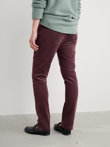 Regular Pantalon 'Lamledra' Seasalt Cornwall en marron