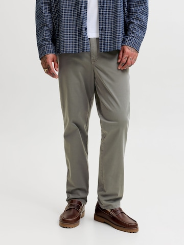 Regular Pantalon chino 'JPSTOllie' JACK & JONES en vert : devant