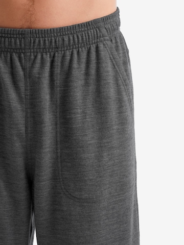 ICEBREAKER Regular Sportshorts in Grau