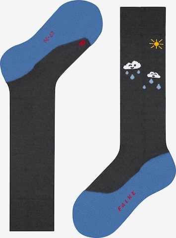 FALKE Socks 'Active Rainboot' in Blue: front