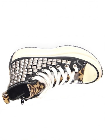 STEVE MADDEN Sneakers hoog 'Shark' in Zwart