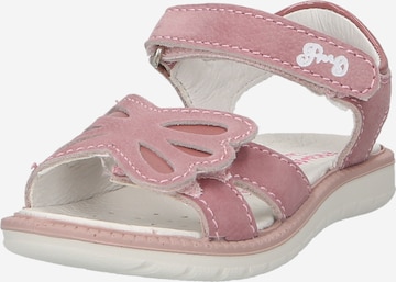 PRIMIGI Sandale 'PAL' in Pink: predná strana