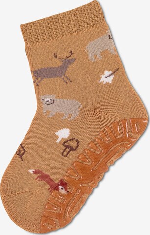 STERNTALER Socks in Brown: front