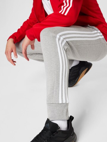 ADIDAS SPORTSWEAR - Tapered Calças de desporto 'Essentials' em cinzento