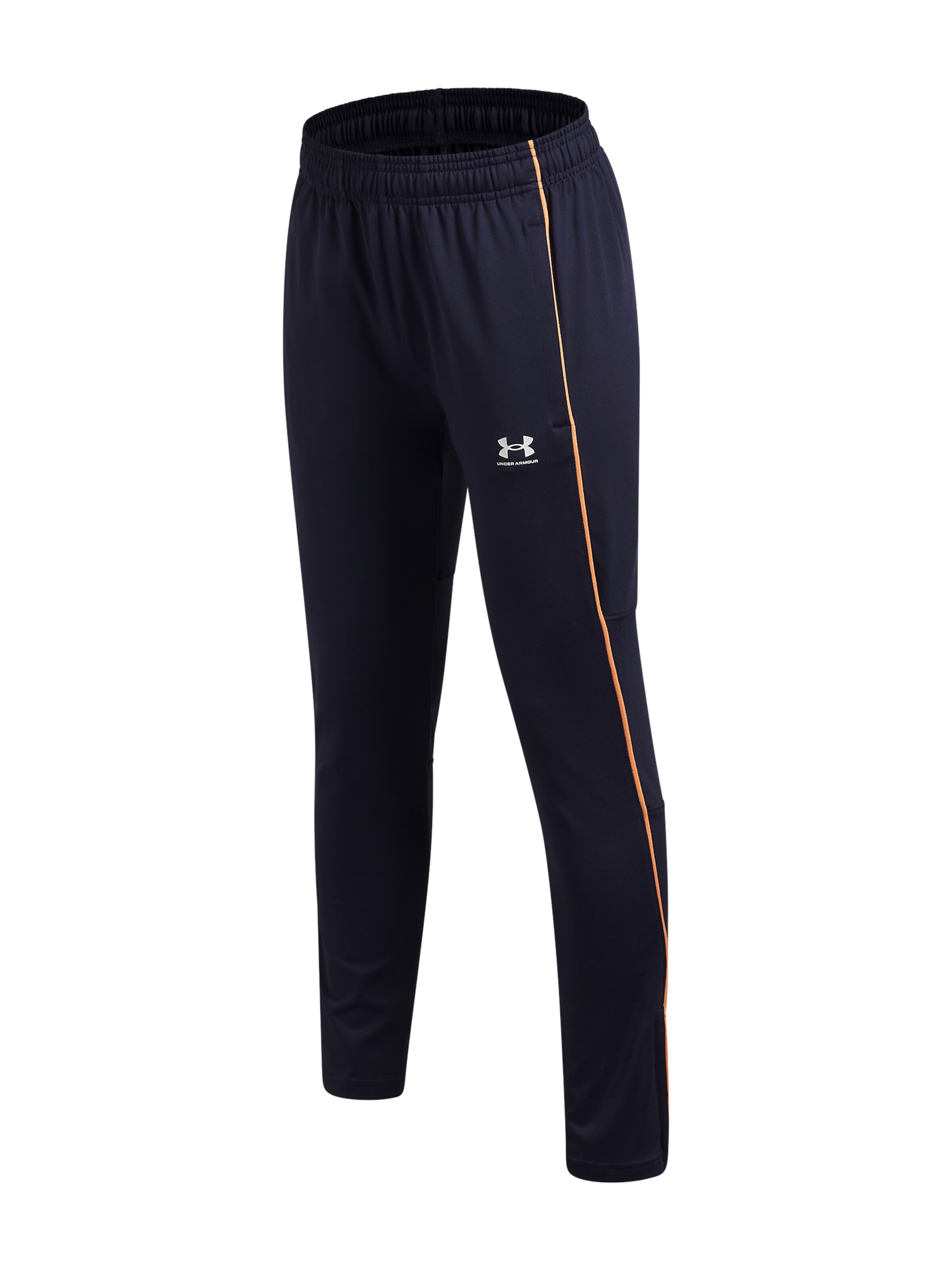 UNDER ARMOUR Regular Sportbroek 'Challenger' in Blauw