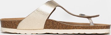 Bayton Mule 'Cordoba' in Gold