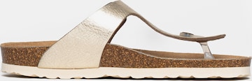 Bayton Pantolette 'Cordoba' in Gold