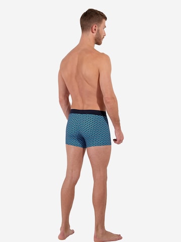 HOM Boxer shorts ' Martinez Boxer Briefs HO1 ' in Blue