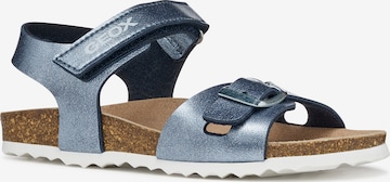 GEOX Sandale in Blau: Vorderseite