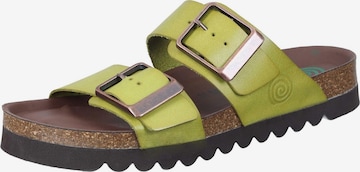 DR. BRINKMANN Mules 'Bonillo' in Green: front