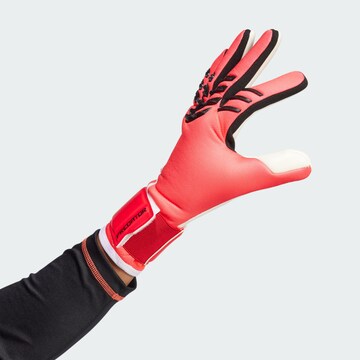 ADIDAS PERFORMANCE Sporthandschoenen 'Predator League' in Rood