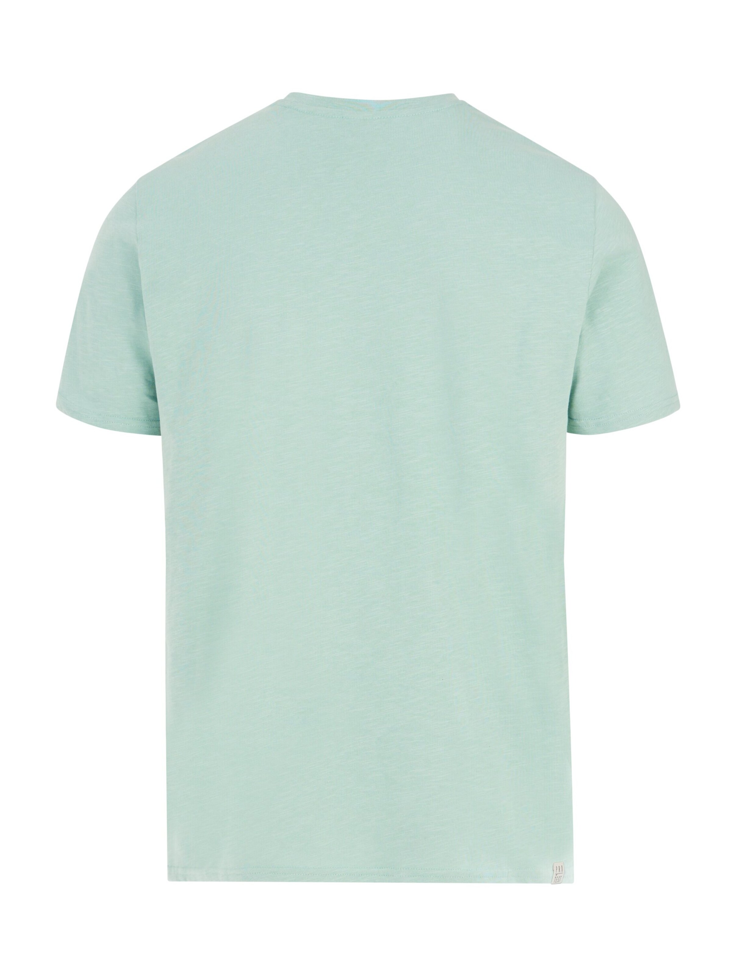 PROTEST Shirt 'PRTCruz' in Groen