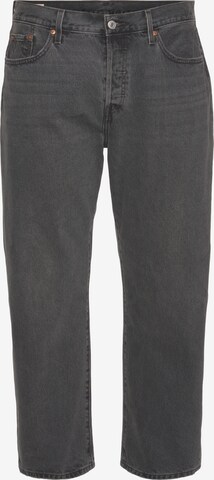 Levi's® Plus Regular Jeans in Grau: predná strana