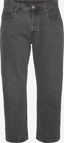 Levi's® Plus Regular Jeans in Grau: predná strana