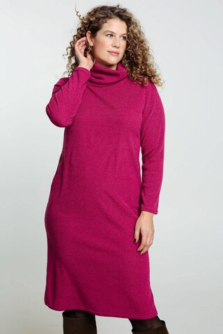 Paprika Knitted dress in Pink: front