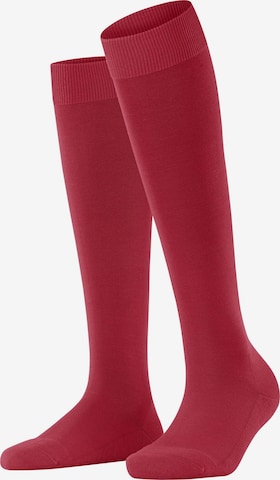 FALKE Knee High Socks 'ClimaWool' in Red: front
