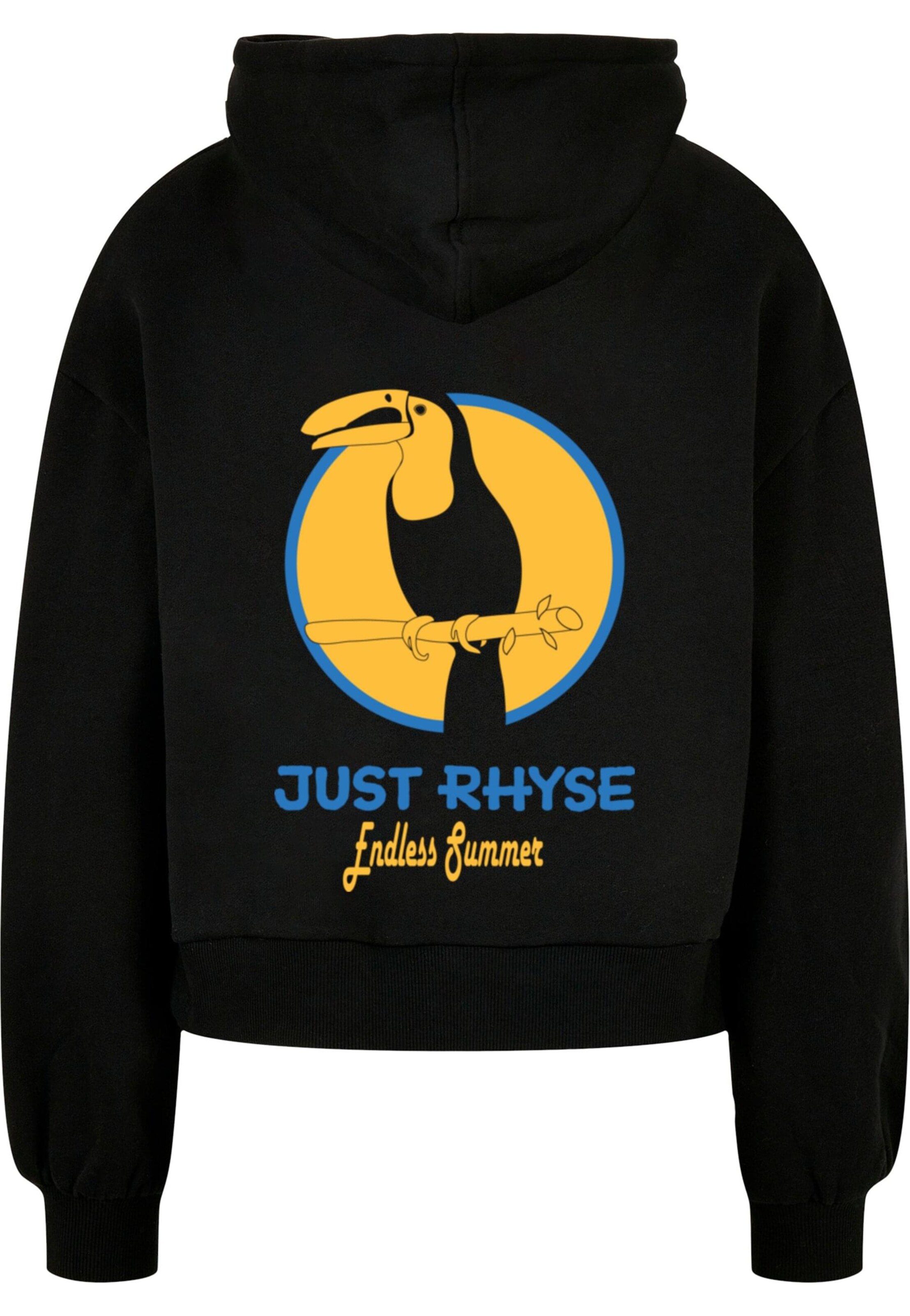 Sweat-shirt 'JLHD262M' Just Rhyse en noir