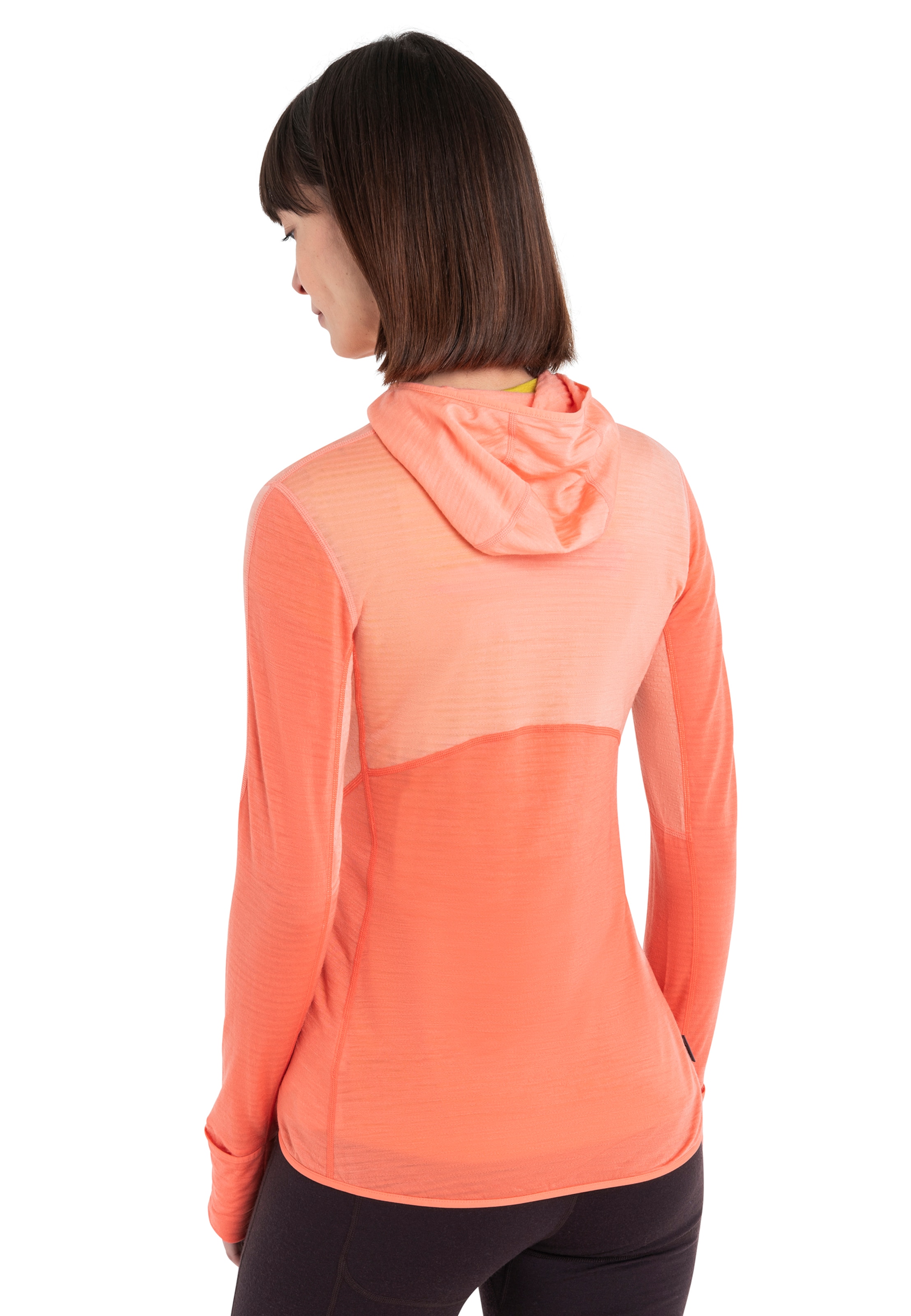 ICEBREAKER Funktionsfleecejacke 'Realfleece Descender' in Orange