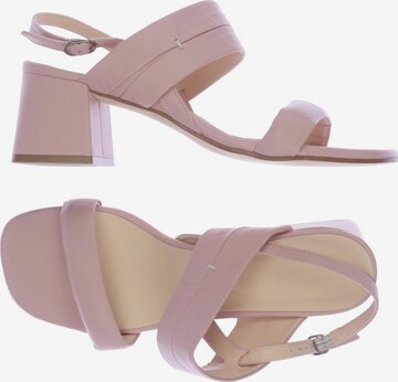 CINQUE Sandals & High-Heeled Sandals in 39 in Pink: front