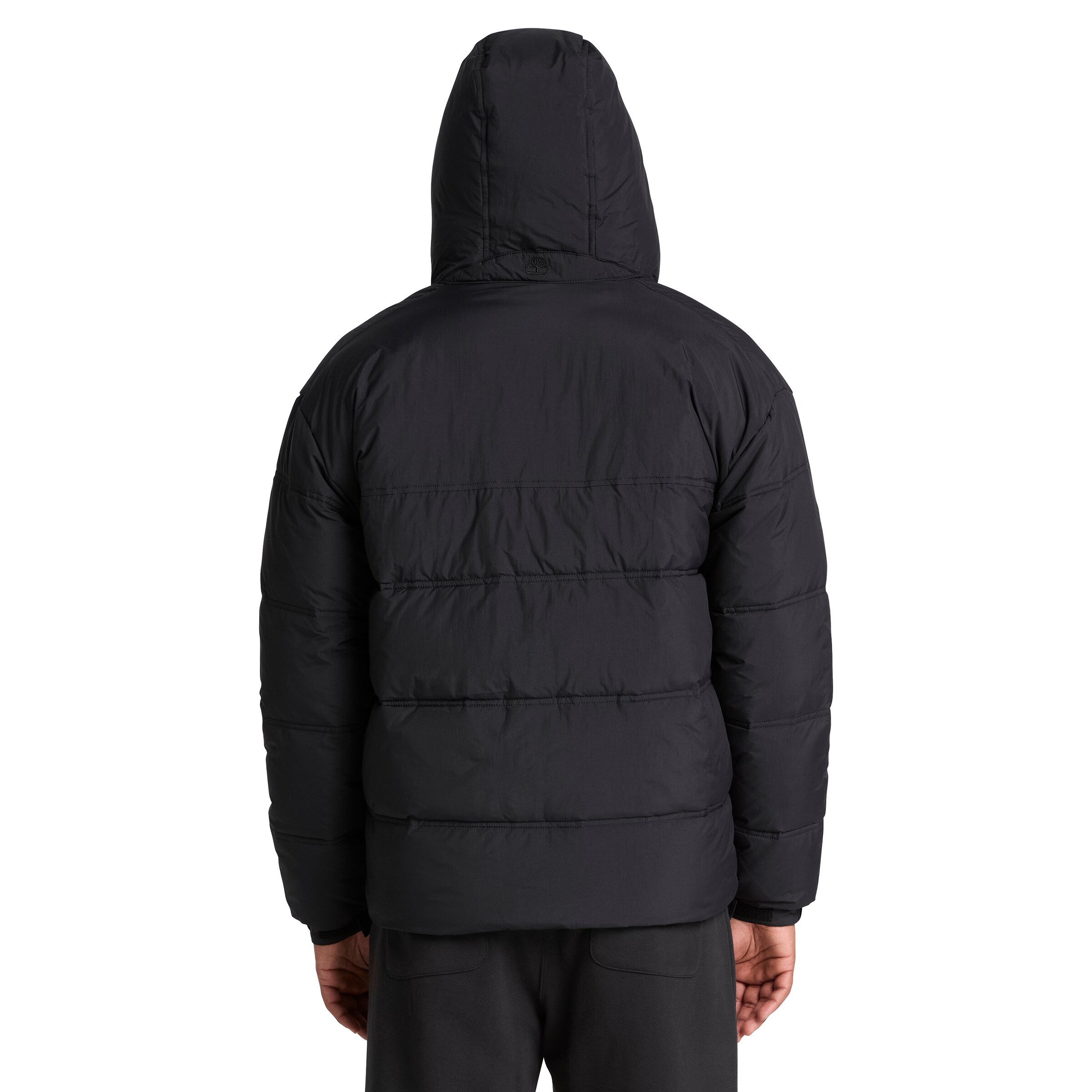 TIMBERLAND Winterjacke in Schwarz