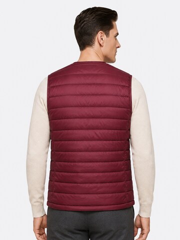 ALLTHEMEN Vest 'Stichlinie' in Red