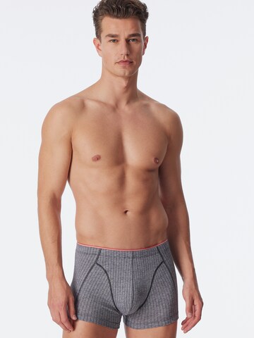 Boxers ' 95/5 Originals ' SCHIESSER en gris