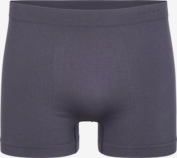 FALKE Boxershorts 'Seamless' in Grau: Vorderseite