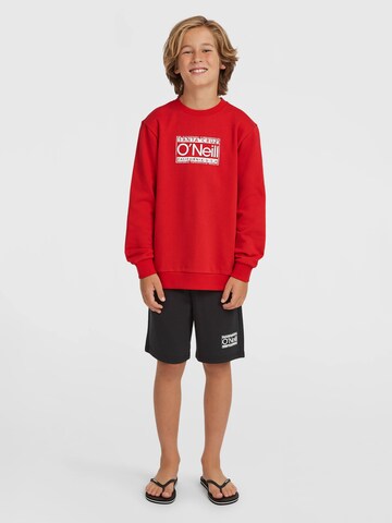 O'NEILL Sweatshirt 'Cali' in Red