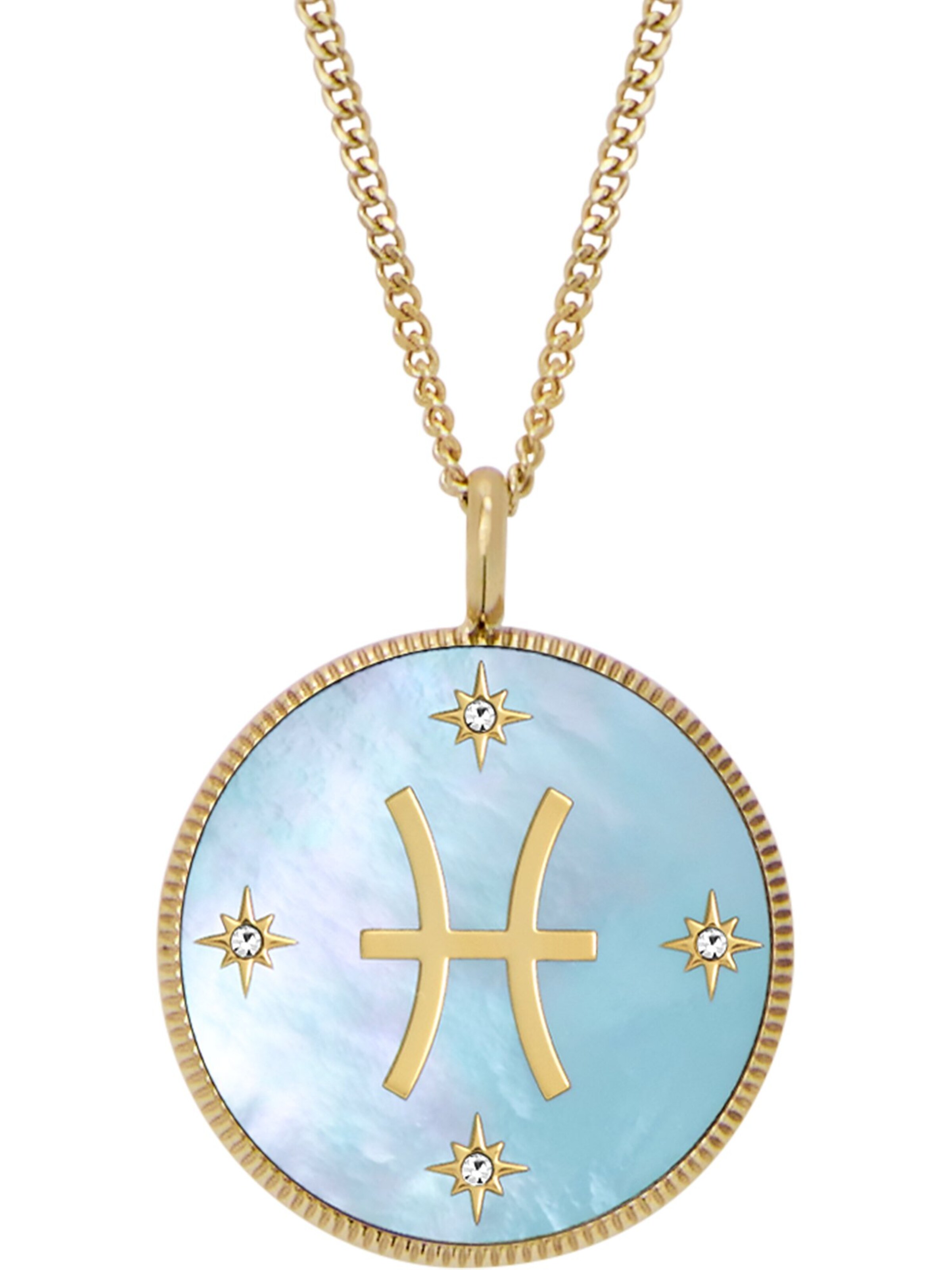 FOSSIL Necklace in Gold