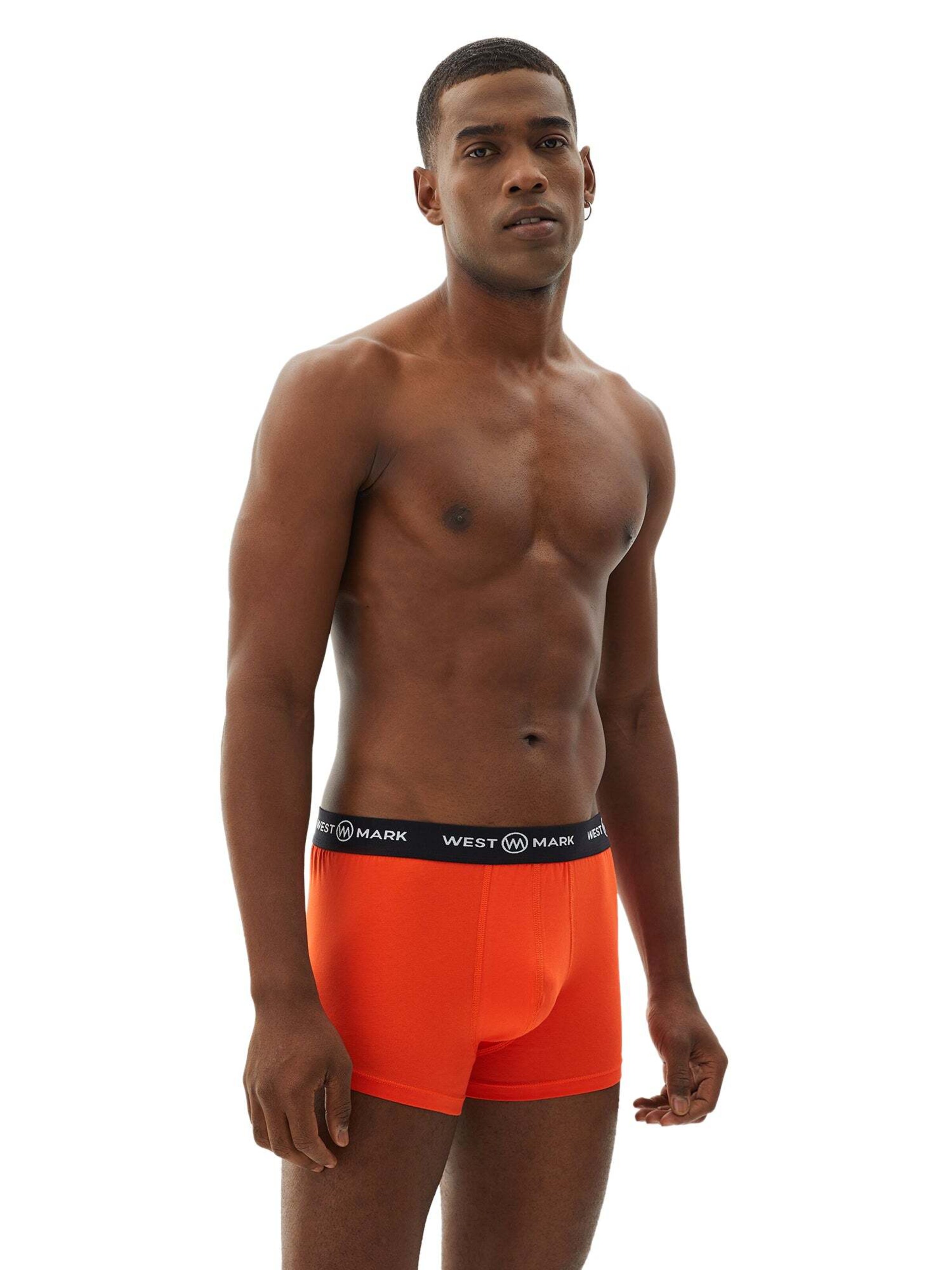 WESTMARK LONDON Boksershorts i grøn: forside