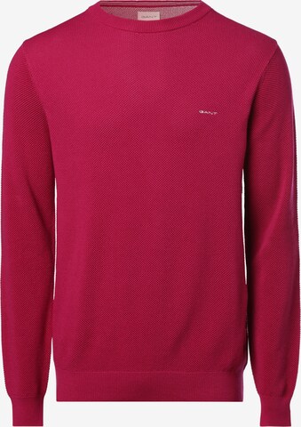 GANT Sweater in Pink: front