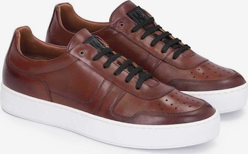 Kazar Sneakers in Brown