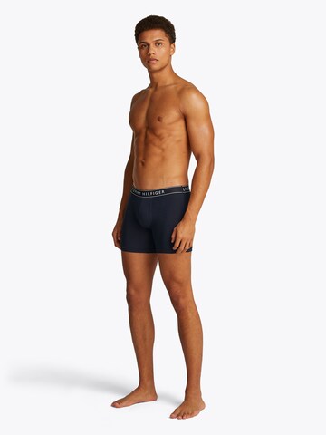 Tommy Hilfiger Underwear Boxer shorts in Blue