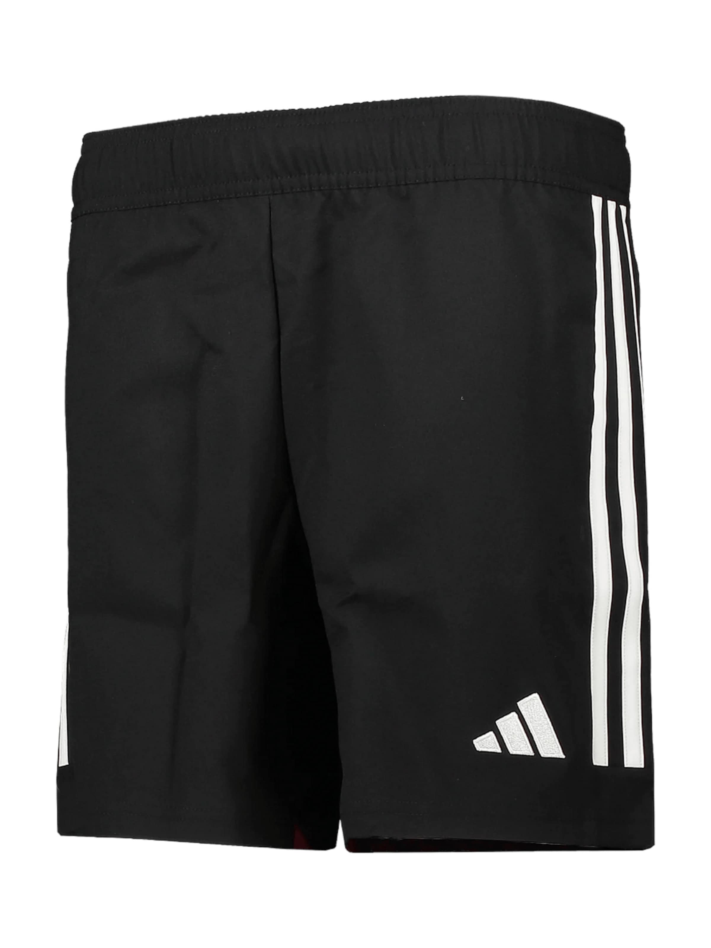 ADIDAS PERFORMANCE Normální Sportovní kalhoty – černá: přední strana