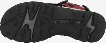 ECCO Trekkingsandal 'Offroad' i röd