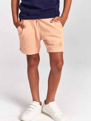 Shiwi Regular Pants 'Sem' in Orange: front