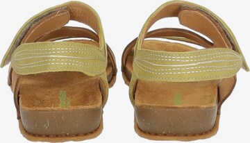 EL NATURALISTA Sandals 'Panglao' in Brown