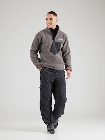 ADIDAS TERREX Sportpullover 'Xploric' in Grau