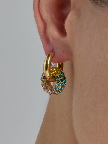 Luxenter Oorbellen 'Rawe' in Gemengde kleuren