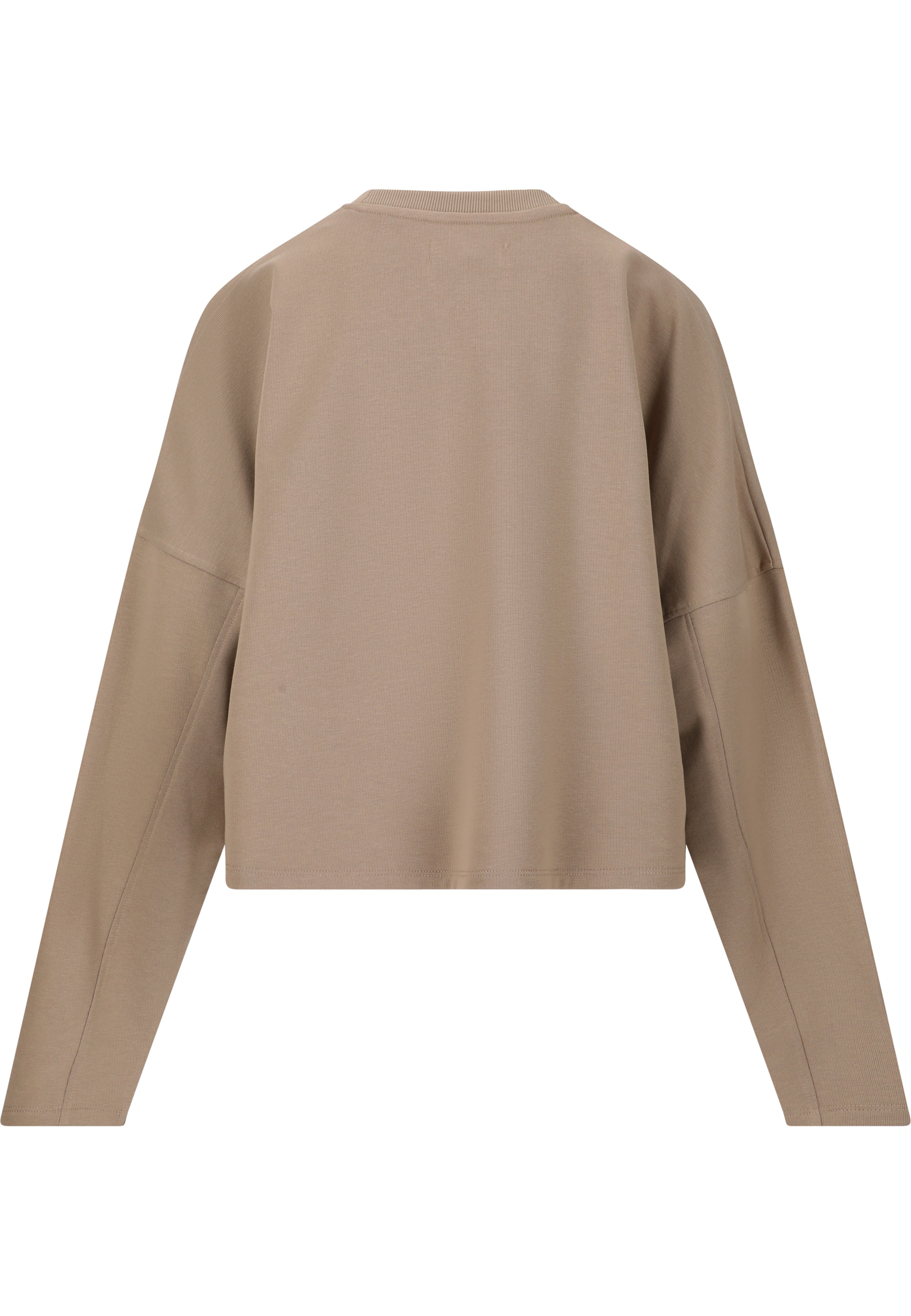 Les'Arcs Sweatshirt 'Clairen' in Brown