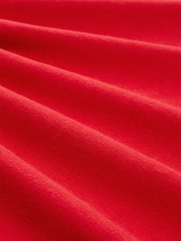 TOM TAILOR Sweater in Red
