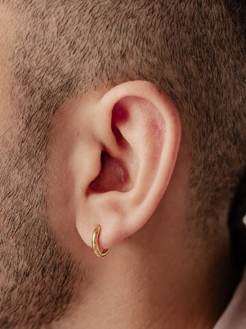 Hey Happiness Oorbel 'Plain Chunky' in Goud