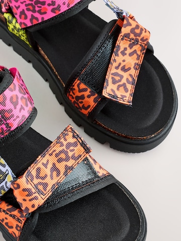 Next Sandalen in Gemengde kleuren