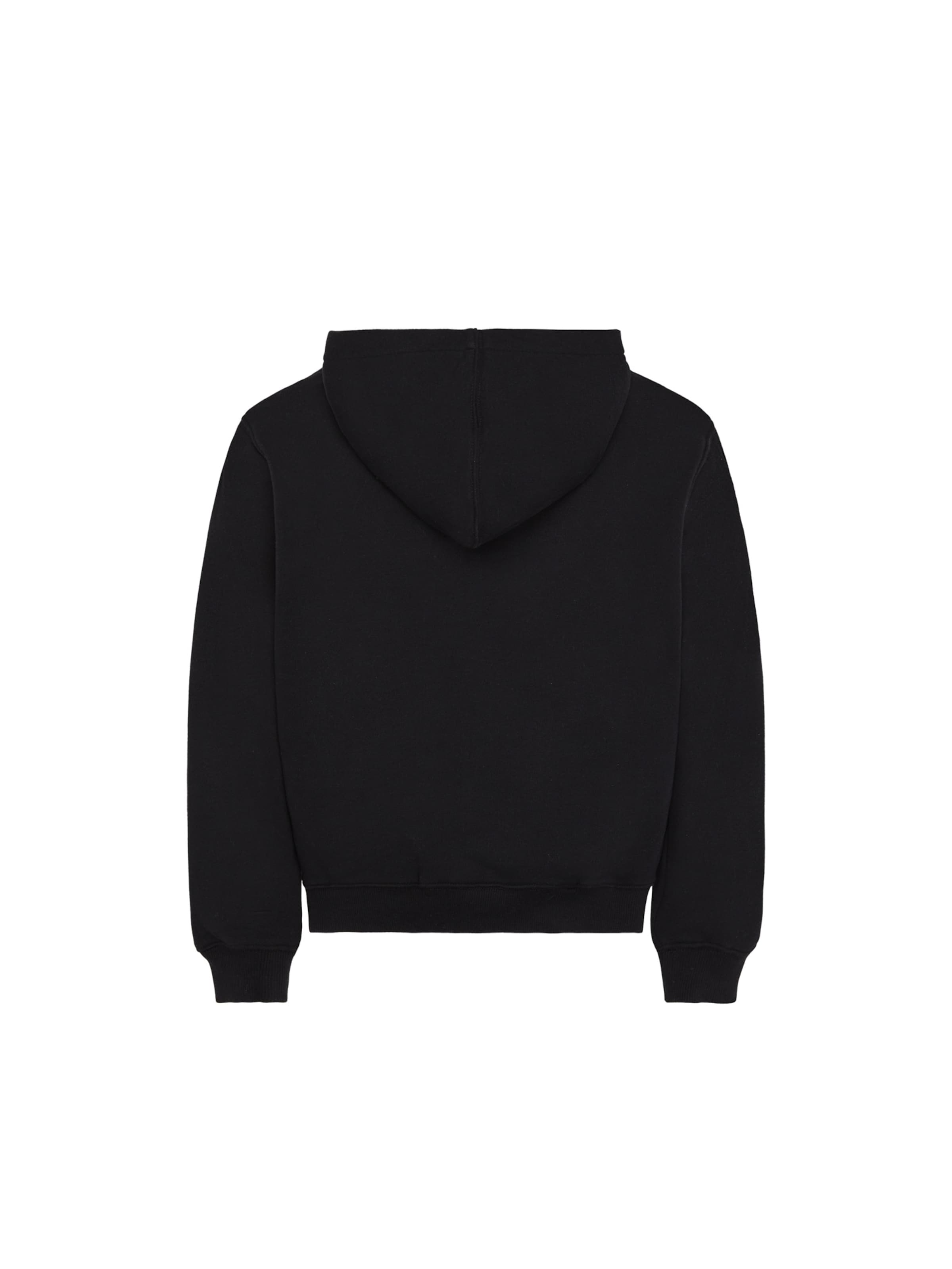 DICKIES - Sudadera 'Oakport' en negro