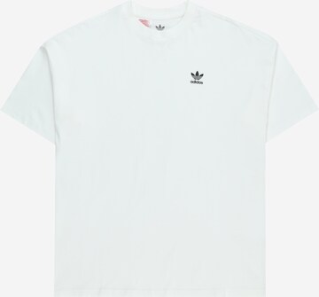 T-Shirt ADIDAS ORIGINALS en blanc : devant