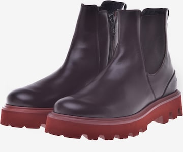 Baldinini Chelsea Boots in Black